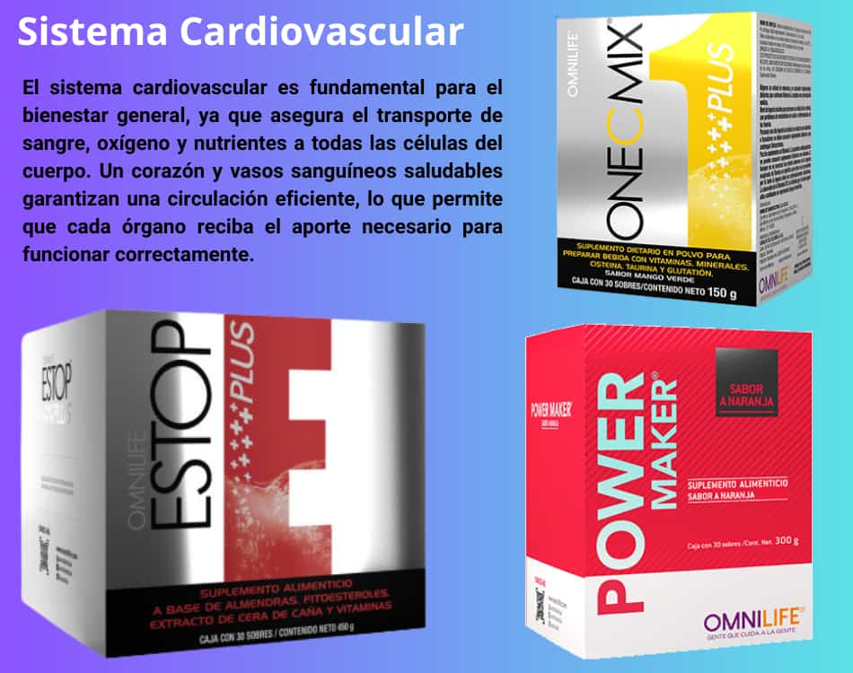 Lámina de Sistema Cardiovascular con los productos OMNILIFE recomendados