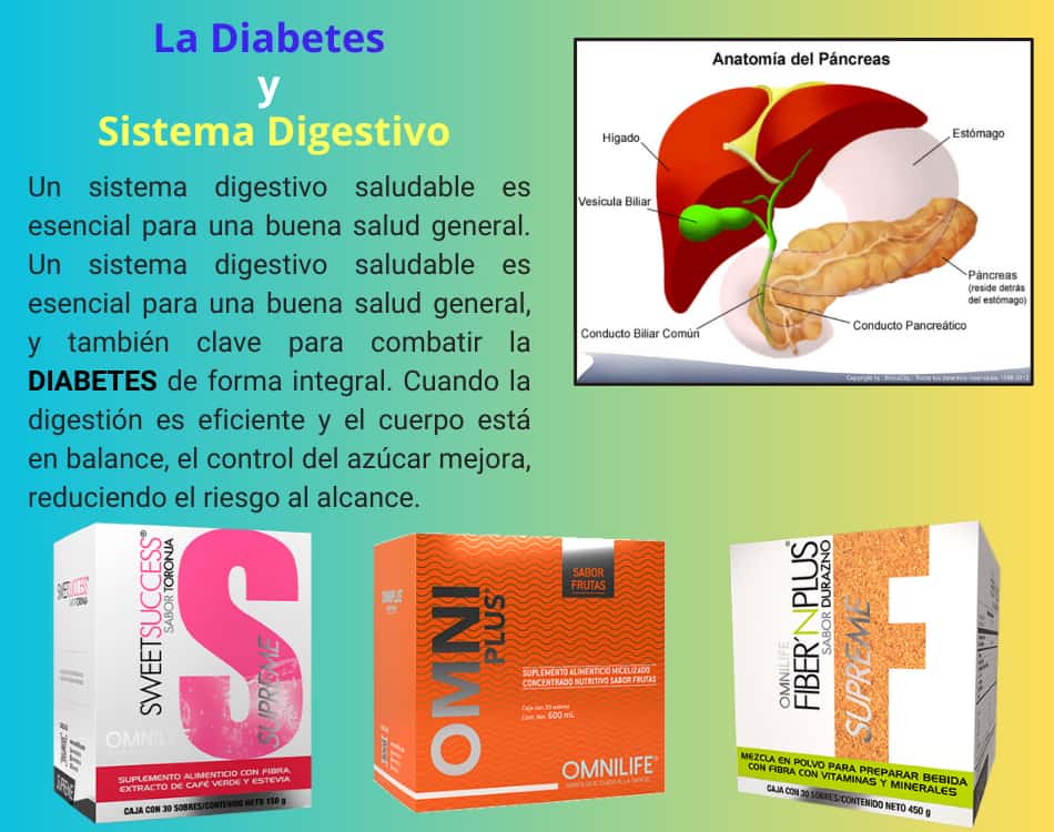 Lámina de Diabetes y Sistema Digestivo con los productos OMNILIFE recomendados