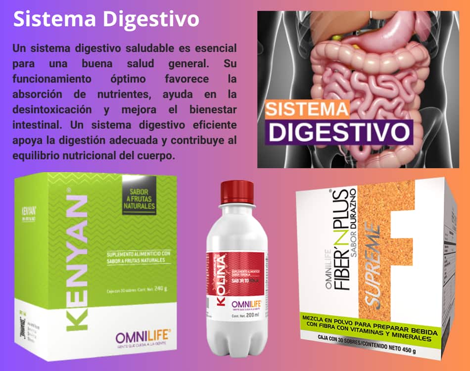 Lámina de Sistema Digestivo con los productos OMNILIFE recomendados