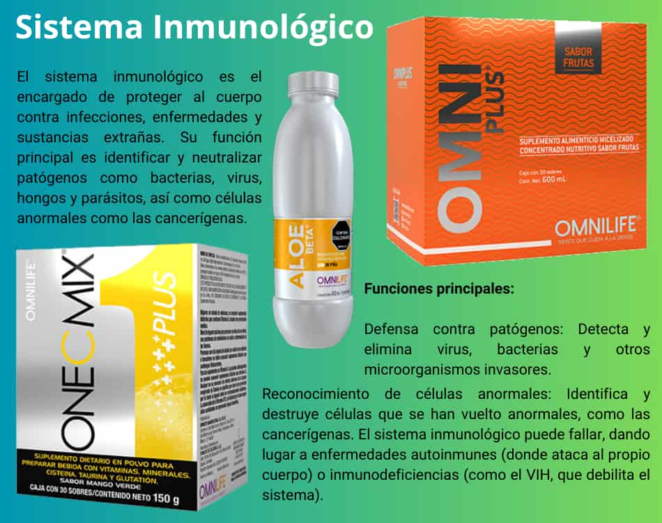 Lámina de Sistema Inmunológico con los productos OMNILIFE recomendados