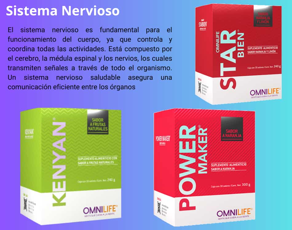 Lámina de Sistema Nervioso con los productos OMNILIFE recomendados