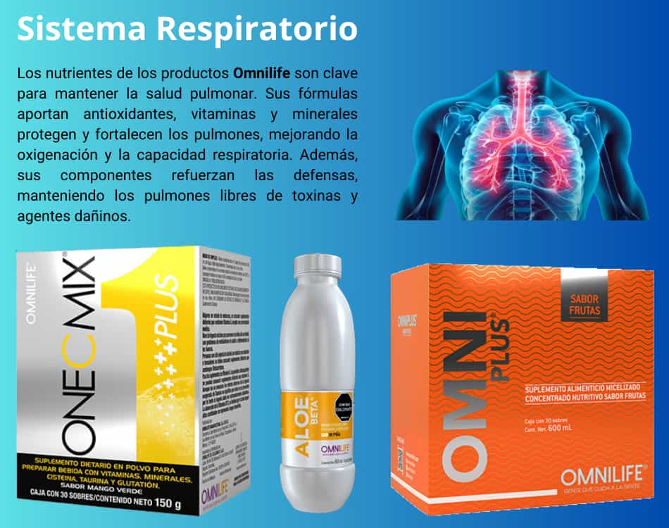 Lámina de Sistema Respiratorio con los productos OMNILIFE recomendados